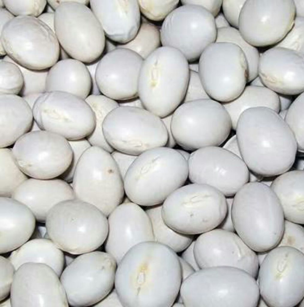 İspir fasulyesi AB yolunda