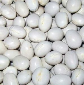 İspir fasulyesi AB yolunda