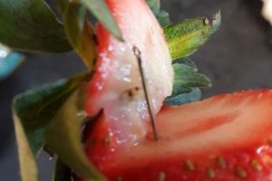 Avustralya’da iğneli çilek paniği