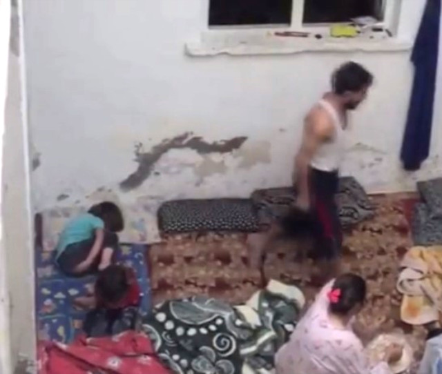 Cani babaya devlet tokatı..