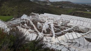 Musluoğlu: Afet Fonu Devreye Girsin