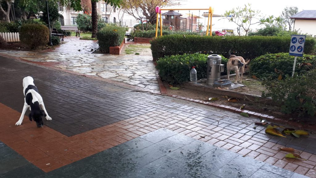 “Korkmayın, Korkutmayın”