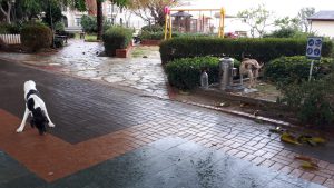 “Korkmayın, Korkutmayın”