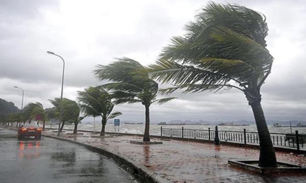 ” Fırtına Antalya’yı Sevdi Ayrılamıyor “