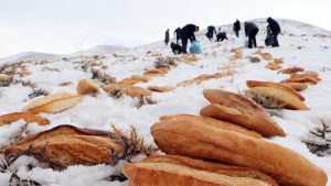 ERZURUM ESNAFINDAN ÖRNEK DAVRANIŞ