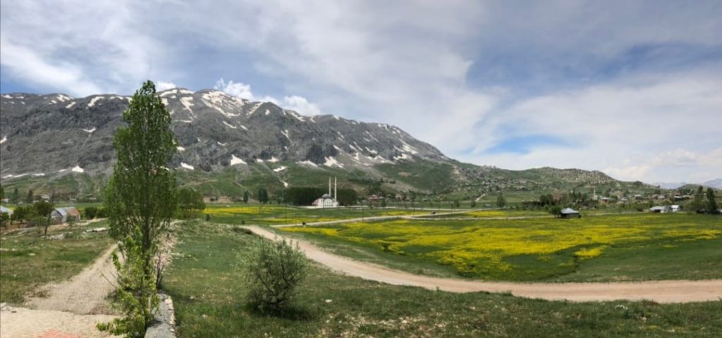 HIRSIZLAR GÖKBEL YAYLASINI MESKEN TUTTULAR