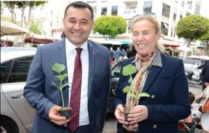 15 BİN FİDE DAĞITILACAK