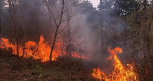 ERKEN MÜDAHALE FACİAYI ÖNLEDİ