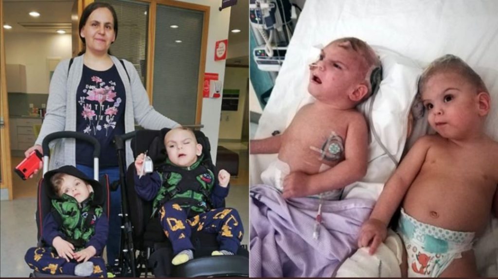 BAŞKAN ERDOĞAN MÜJDEYİ VERDİ