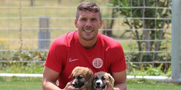 ANTALYASPOR YAVRU KÖPEK SAHİPLENDİ