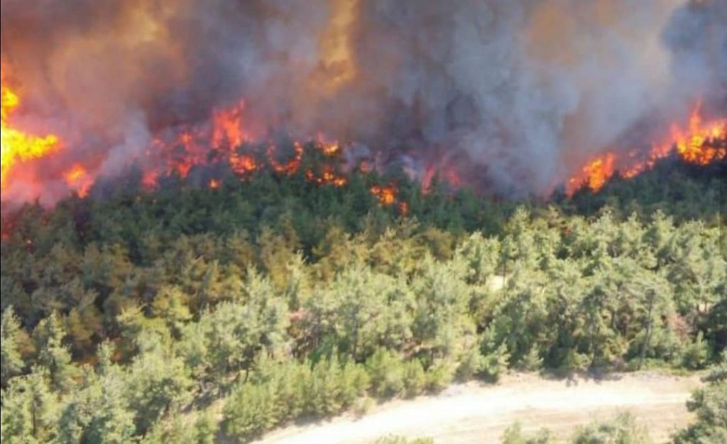 ÇANAKKALE’DE ORMAN YANGINI BÜYÜYOR, KÖYLER TAHLİYE EDİLİYOR