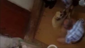 İĞRENÇ ADAM MAHALLEDE İSTENMİYOR