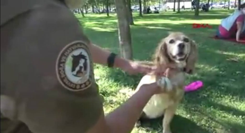 “DOĞA VE HAYVAN POLİSİ” GÖREVDE