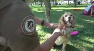 “DOĞA VE HAYVAN POLİSİ” GÖREVDE