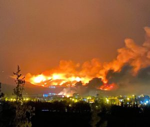 CANIMIZI CİĞERİMİZİ YAKTILAR