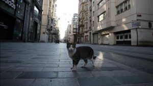 BUGÜNKÜ SOKAĞA ÇIKMA YASAĞI BİTTİ