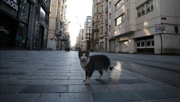 BUGÜNKÜ SOKAĞA ÇIKMA YASAĞI BİTTİ