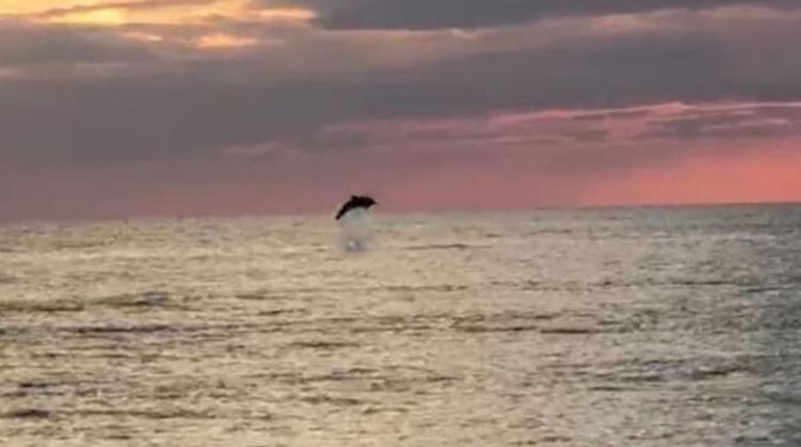 ALANYA’DA MUHTEŞEM ŞÖLEN