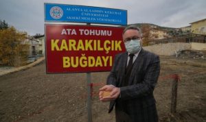 ALKÜ ORGANİK TARIMA SAHİP ÇIKTI 