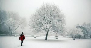 KARAKIŞ YURDU SARDI