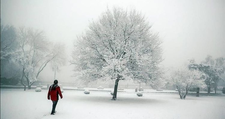KARAKIŞ YURDU SARDI