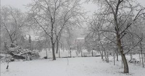 KAŞ’TA TABLO GİBİ KAR MANZARALARI