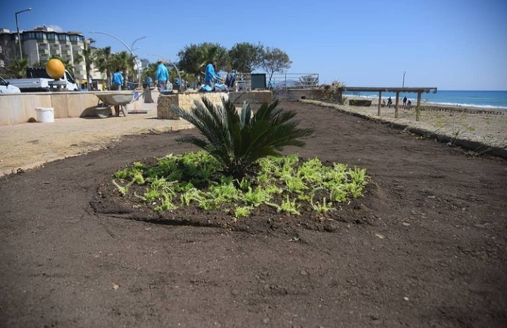 ALANYA ÇİÇEK AÇIYOR