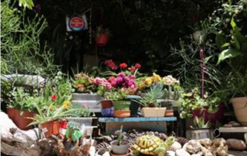 ALANYA’NIN EN GÜZEL BALKON VE BAHÇESİ BELLİ OLDU