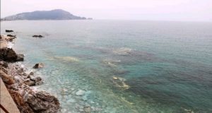 DENİZ SALYASI ALANYA SAHİLLERİNDE 