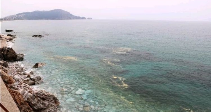 DENİZ SALYASI ALANYA SAHİLLERİNDE