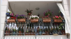 ALANYA EN GÜZEL BALKONUNU SEÇİYOR