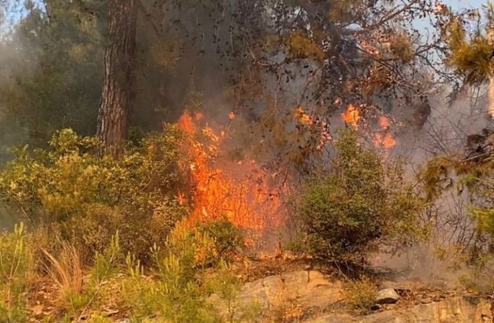 ALANYA’DA YANGIN KORKUTTU