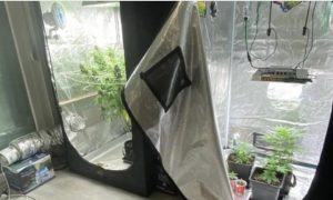 ALANYA’DA ZEHİR TACİRLERİNE GEÇİT YOK, 14 GÖZALTI