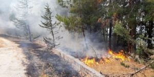 SERİK’TE KORKUTAN YANGIN