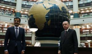 KASITLI PROVOKASYONA CEVAP