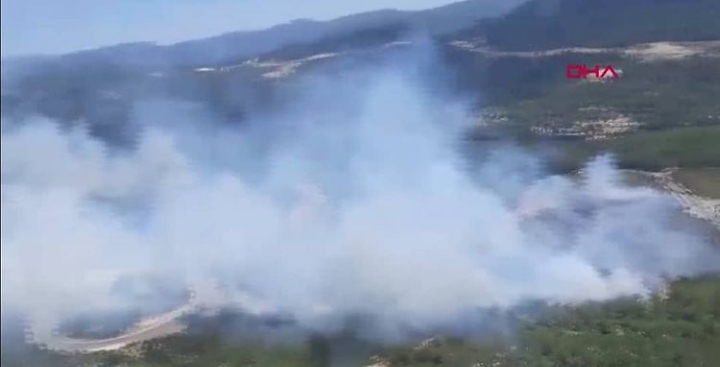 ANTALYA’DA KORKUTAN ORMAN YANGINI