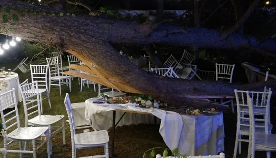 KIR DÜĞÜNÜNDE AĞAÇ DEVRİLDİ 1 KİŞİ ÖLDÜ