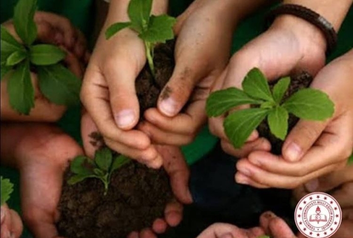 YUSUF HOCANIN ACILARI DİNDİRECEK PROJESİ