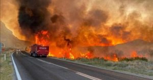 TRAFOYA ÇARPAN KUŞ YANGINA NEDEN OLDU