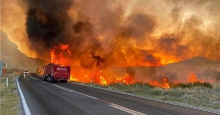 TRAFOYA ÇARPAN KUŞ YANGINA NEDEN OLDU