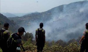 ORMAN YANGINLARINDA SON DURUM