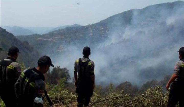 ORMAN YANGINLARINDA SON DURUM