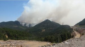 ALANYA’DA YİNE DUMANLAR YÜKSELİYOR