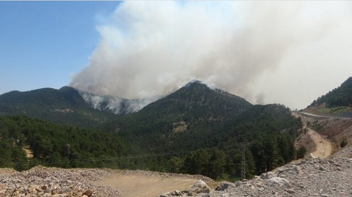 ALANYA’DA YİNE DUMANLAR YÜKSELİYOR