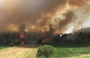 MANAVGAT YİNE YANIYOR