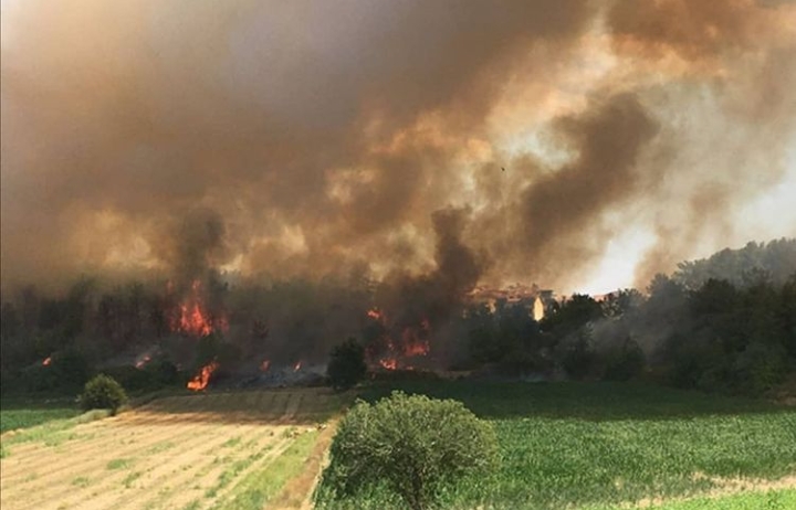 MANAVGAT YİNE YANIYOR