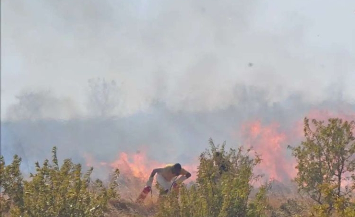 ORMAN YANGINLARININ ÖNÜNE GEÇİLEMİYOR,  ŞİMDİ DE İZMİR
