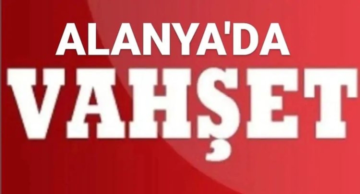 TURİST KEDİYİ YERE VURARAK ÖLDÜRDÜ