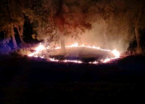 ANTALYA’DA Kİ ORMAN YANGININDA SABOTAJ ŞÜPHESİ