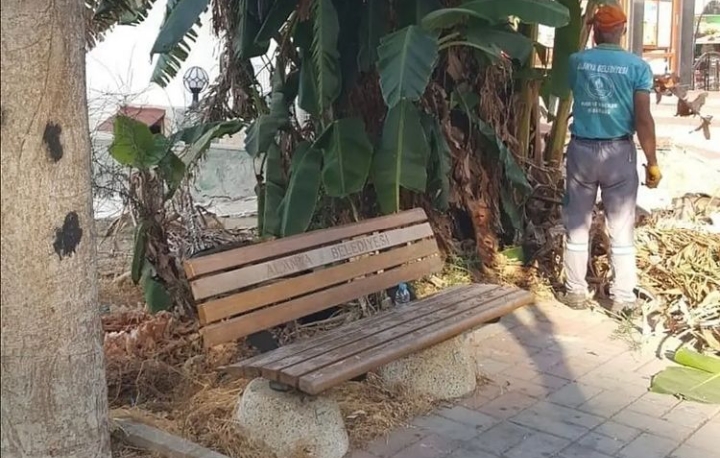 NE ÇALACAKLARINI ŞAŞIRDILAR